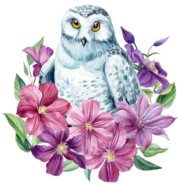 Coruja branca e flores em um fundo branco isolado. ilustração aquarela, cartaz com coruja decorada com clematis — Fotografia de Stock