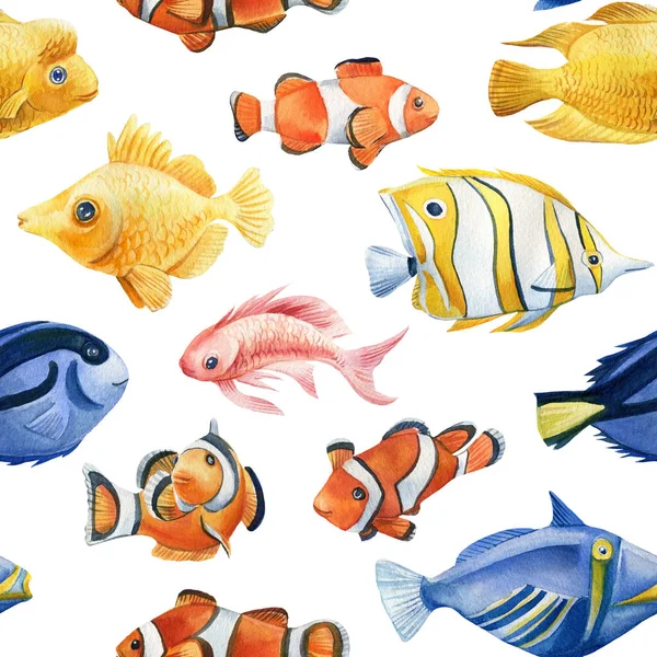 Akvarell sömlös mönster, Tropisk fisk på en isolerad bakgrund. — Stockfoto