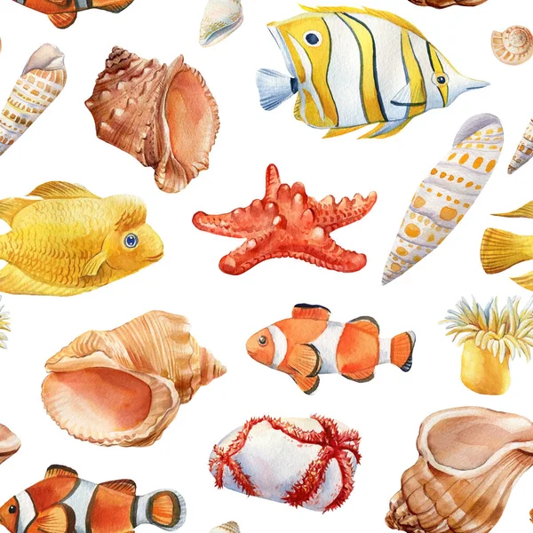 Τροπικά ψάρια, κοχύλια, αστερίες σε απομονωμένο φόντο. Υδατογραφία εικονογράφηση, απρόσκοπτη μοτίβο — Φωτογραφία Αρχείου