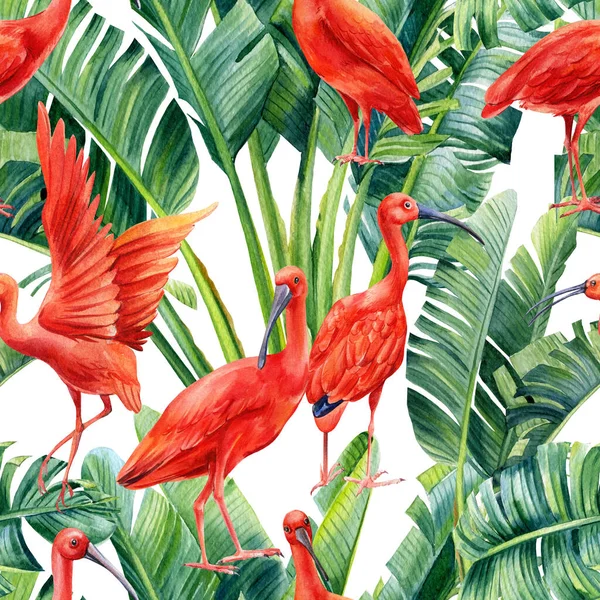 Tropik yapraklar, palmiye ve Ibis kuşları. Suluboya çizimi, kusursuz desen — Stok fotoğraf