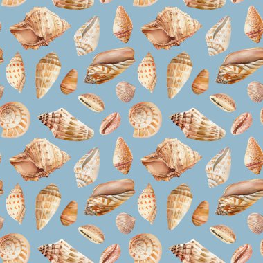 İzole edilmiş bir arka planda deniz kabukları. Suluboya çizimi, kusursuz desen