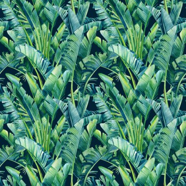 Muz palmiyesinin tropik yaprakları, izole bir arka planda strelitzia. Suluboya çizimi, kusursuz desen