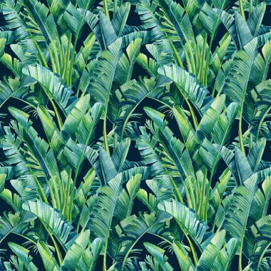 Muz palmiyesinin tropik yaprakları, izole bir arka planda strelitzia. Suluboya çizimi, kusursuz desen