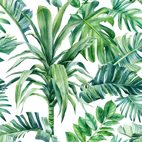 Hojas de palmeras tropicales sobre un fondo aislado. Ilustración de acuarela, patrón sin costuras —  Fotos de Stock