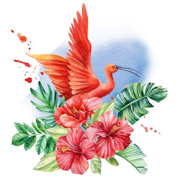 Foglie di palma tropicale, fiori di ibisco e uccelli ibis su uno sfondo isolato. Illustrazione ad acquerello, cartolina — Foto Stock