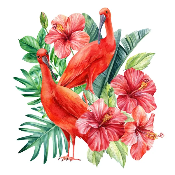 Foglie di palma tropicale, fiori di ibisco e uccelli ibis su uno sfondo isolato. Illustrazione ad acquerello, cartolina — Foto Stock