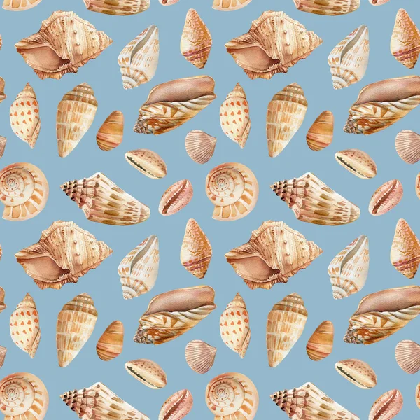 Seashells su uno sfondo isolato. Illustrazione ad acquerello, modello senza cuciture — Foto Stock