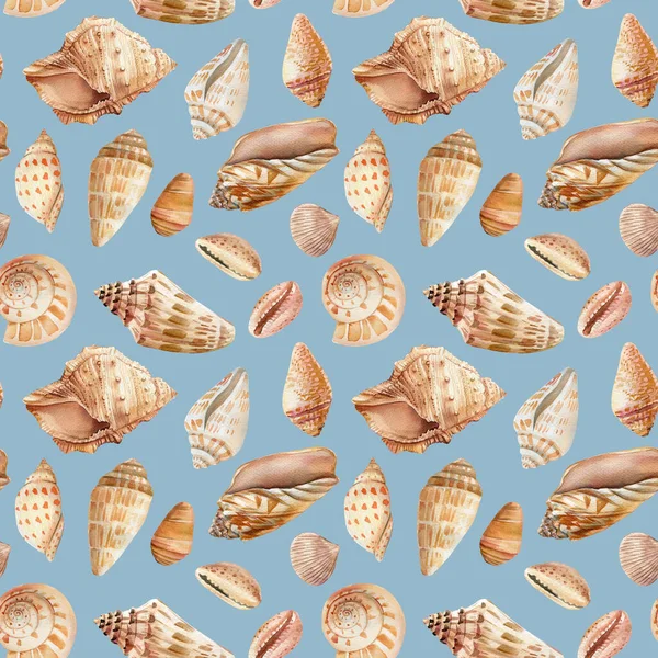 İzole edilmiş bir arka planda deniz kabukları. Suluboya çizimi, kusursuz desen