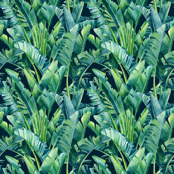 Hojas tropicales de palmera de plátano, strelitzia sobre un fondo aislado. Ilustración de acuarela, patrón sin costuras —  Fotos de Stock