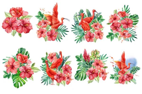 Foglie di palma tropicale, fiori di ibisco e uccelli ibis su uno sfondo isolato. Illustrazione ad acquerello, cartolina — Foto Stock