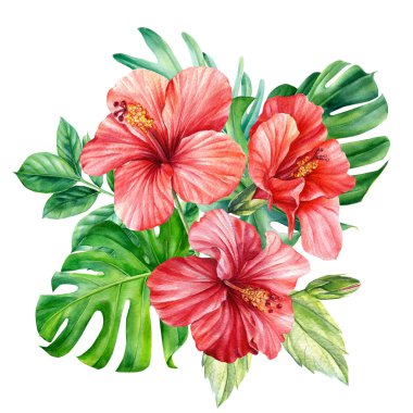 Hibiscus Çiçekleri ve Tropikal Yapraklar buketi ıssız bir arka planda. Suluboya çizimi, kartpostal 