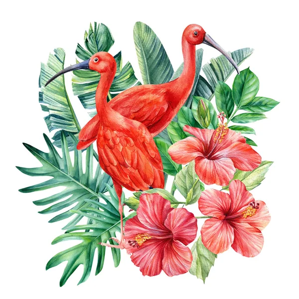 Hojas de palmeras tropicales, flores de hibisco y aves ibis sobre un fondo aislado. Ilustración de acuarela, postal — Foto de Stock