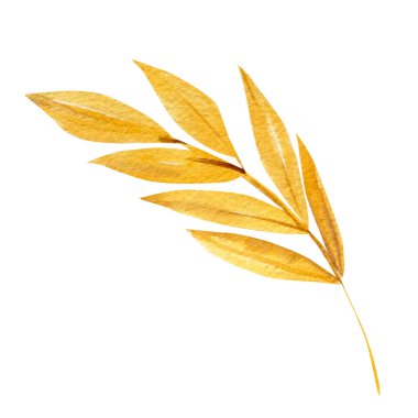 İzole edilmiş beyaz arka planda tropikal sarı bir yaprak. Sonbahar çizimi