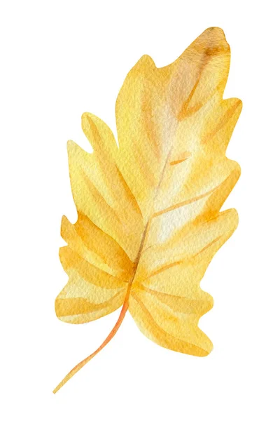Акварель тропический желтый лист на изолированном белом фоне. абстрактная осенняя иллюстрация — стоковое фото