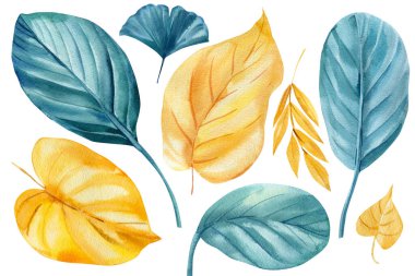 İzole edilmiş beyaz arka planda tropik yapraklar. Suluboya çiçek tasarım elementleri