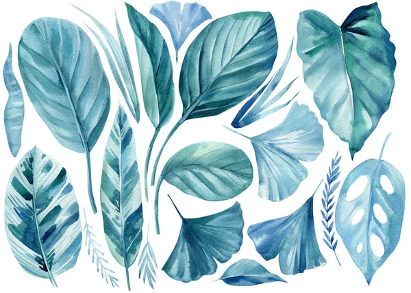 Aquarell-Set tropischer Blätter auf isoliertem weißem Hintergrund. Designelemente — Stockfoto
