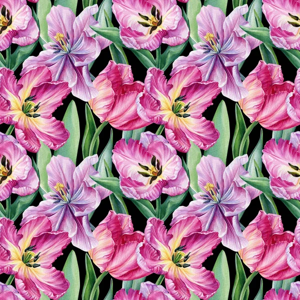Des tulipes roses, de belles fleurs sur un fond blanc isolé. motif sans couture. Illustration botanique aquarelle — Photo