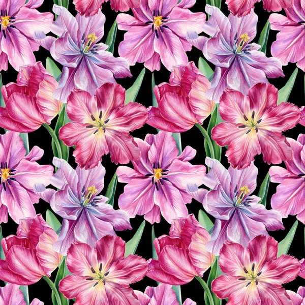 Des tulipes roses, de belles fleurs sur un fond blanc isolé. motif sans couture. Illustration botanique aquarelle — Photo