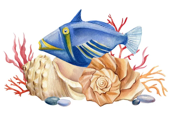 Peixe-marinho e conchas sobre um fundo branco isolado. Ilustração em aquarela, Design marinho, cartões postais. — Fotografia de Stock