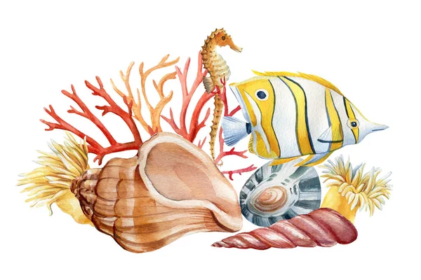 Θαλασσινά ψάρια, Seahor και κοχύλια σε απομονωμένο λευκό φόντο. Υδατογραφία εικονογράφηση, Marine design, κάρτες. — Φωτογραφία Αρχείου