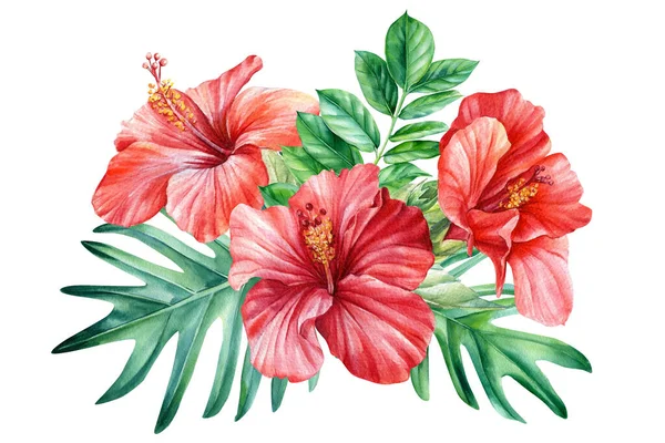 Tropiska hibiskusblommor med djungelblad. Akvarell blommig hawaiian sammansättning — Stockfoto