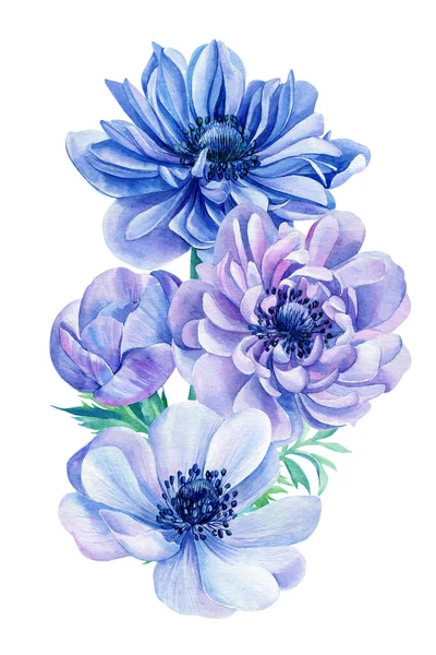 Bouquet de fleurs. Anémone bleue peinte à la main isolée sur fond blanc. Illustration aquarelle. — Photo