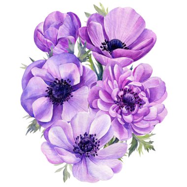 Narin çiçek. Beyaz arka planda el yapımı mavi şakayık. Suluboya çizimi.