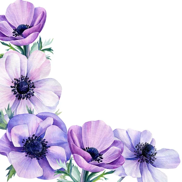 Çiçeklerden güzel bir çerçeve, beyaz arkaplanda şakayıklar, suluboya çizimler.
