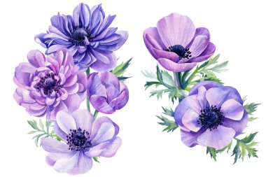 Narin çiçek. Beyaz arka planda el yapımı mavi şakayık. Suluboya çizimi.