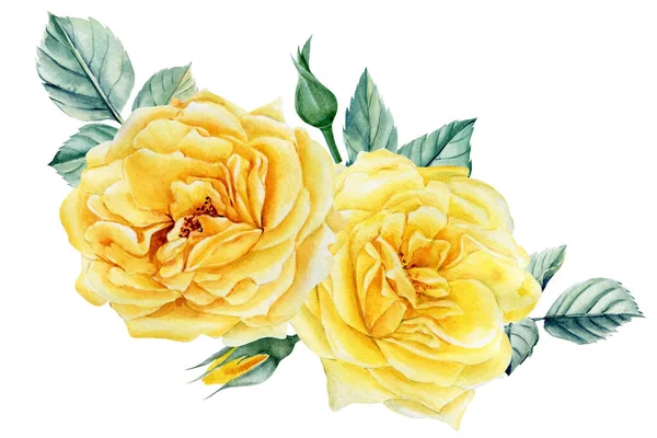 Bouquet of yellow roses flowers on isolated white background, watercolor botanical illustration, greeting card — Stock Photo, Image