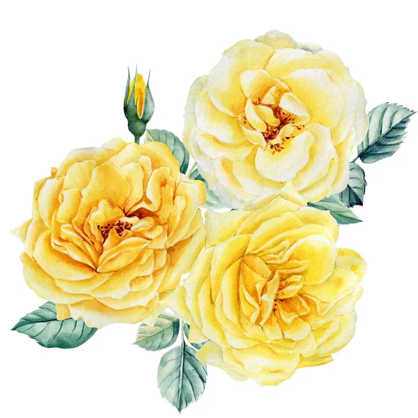 Bouquet of yellow roses flowers on isolated white background, watercolor botanical illustration, greeting card — Stock Photo, Image
