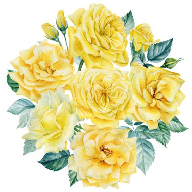 Tebrik kartı, izole edilmiş beyaz arka planda bir buket sarı gül. Suluboya botanik illüstrasyon. Çiçek tasarımı