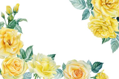 Suluboya tebrik kartı, tatil davetiyesi. İzole edilmiş beyaz arka planda güller, yapraklar, dallar