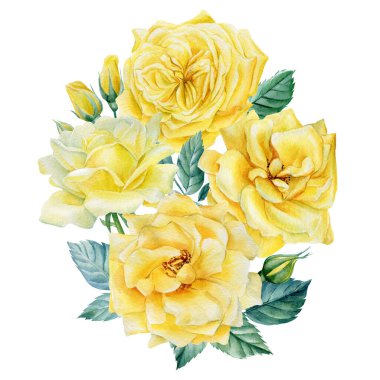 Tebrik kartı, izole edilmiş beyaz arka planda bir buket sarı gül. Suluboya botanik illüstrasyon. Çiçek tasarımı