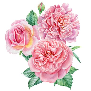 Buket pembe güller ve şakayıklar. Hassas yaz çiçekleri, suluboya çizimler. Çiçeksel elementler dizaynı.
