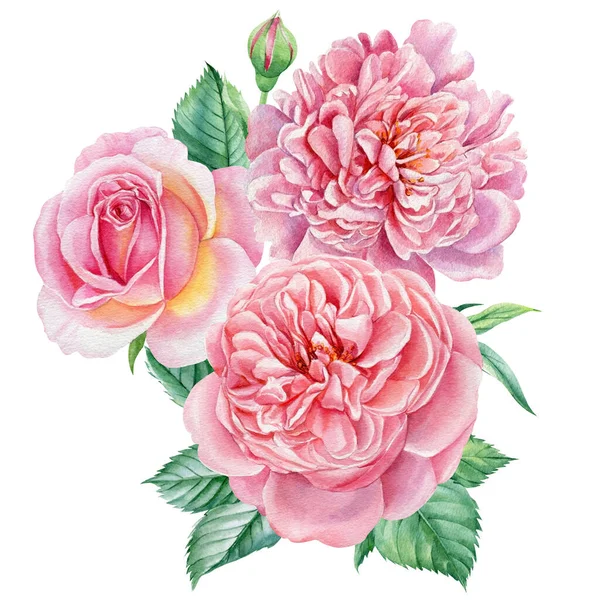 Buquê Rosa rosas e peônias. Delicadas flores de verão, ilustrações aquarela. Conjunto de design de elementos florais. — Fotografia de Stock