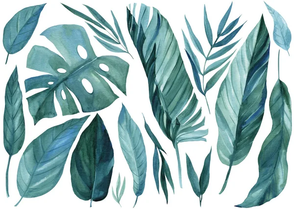 抽象的な熱帯のヤシの葉のセットは、隔離された白い背景、水彩画のイラスト — ストック写真