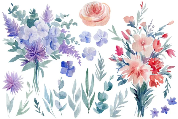 Bir dizi suluboya çiçek, el çizimi illüstrasyon, beyaz arkaplanda izole edilmiş parlak çiçek elementleri.. — Stok fotoğraf