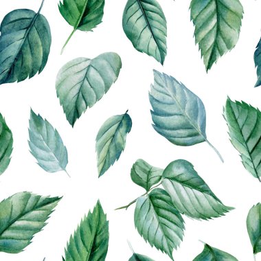 Kusursuz desen. Yeşil, beyaz arka planda güller bırakır, elle çizilmiş. Suluboya çizimi