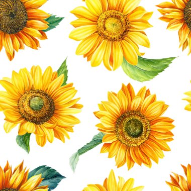 Beyaz arka planda çiçekler, elle çizilmiş. Suluboya çizimi. Çiçeksel tasarım Kusursuz desen. 