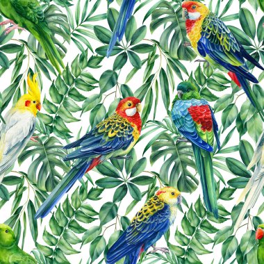 Vahşi tropikal kuşlar papağanlar ve palmiyeler. Suluboya çizimi, kusursuz desen