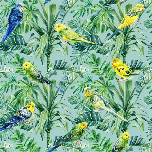 Budgerigar. Aves tropicales loros y palmeras. Ilustración de acuarela, patrón sin costura — Foto de Stock