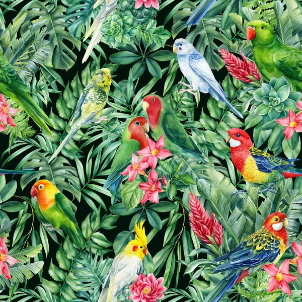 热带野生鸟类、鹦鹉和棕榈。水彩画，无缝图案 — 图库照片