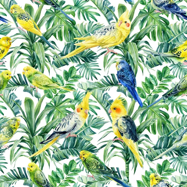 Oiseaux tropicaux sauvages perroquets et palmiers. Illustration aquarelle, Modèle sans couture — Photo