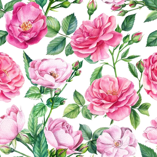 ピンクのバラ。花の背景、シームレスなパターン、水彩画の花 — ストック写真