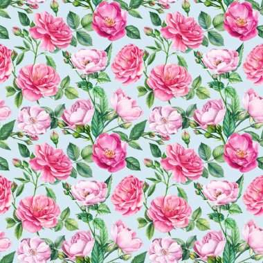  Çiçek arkaplan. Pembe güller, pürüzsüz desenler, suluboya çiçekler. 
