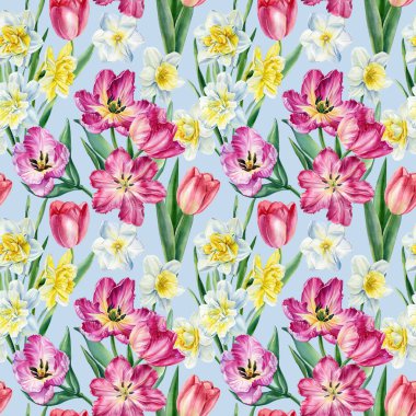 Çiçek arkaplan, çiçek laleleri, nergisler, suluboya çizimler, kusursuz desenler.