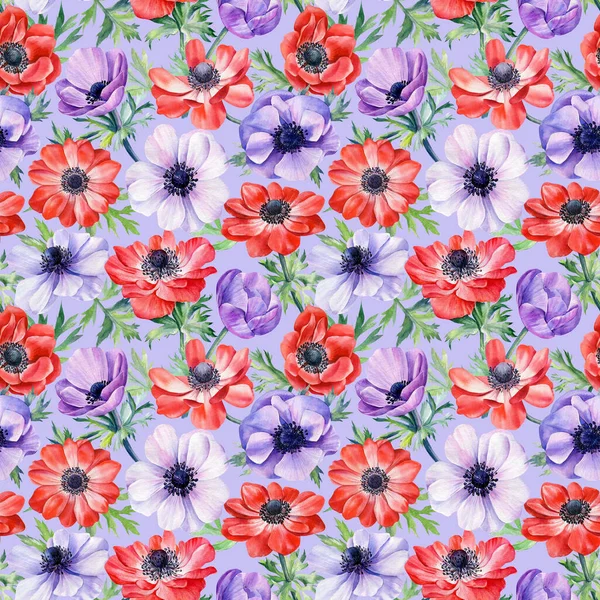 Kwiatowe tło, anemony kwiatów, ilustracja akwarela, bezszwowy wzór — Zdjęcie stockowe