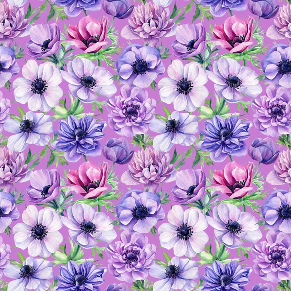Floral φόντο, ανεμώνες λουλούδια, ακουαρέλα εικονογράφηση, απρόσκοπτη μοτίβο — Φωτογραφία Αρχείου