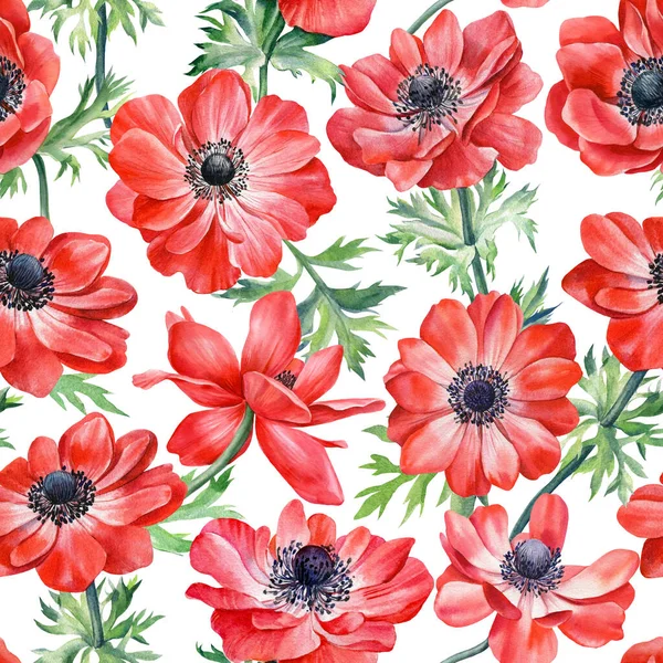 Sfondo floreale, fiori di anemoni rossi, acquerello illustrazione, modello senza soluzione di continuità, carta digitale — Foto Stock